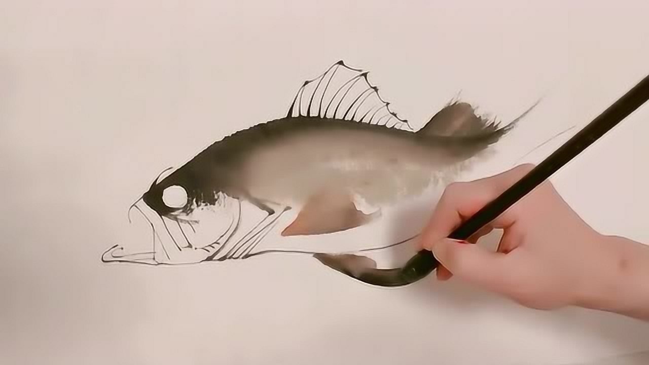 国画:怎样画鲈鱼呢?国画老师来教你!