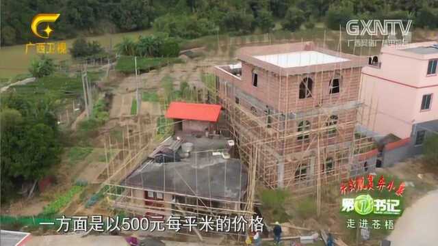 书记为了振兴村庄,完善村里基础设施,出售宅基地每平米仅500元