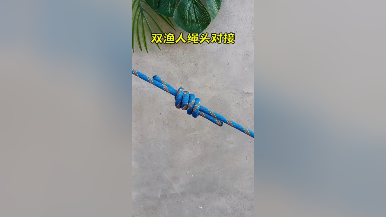 双渔人绳头对接，美观又牢固，在生活中特别实用_腾讯新闻