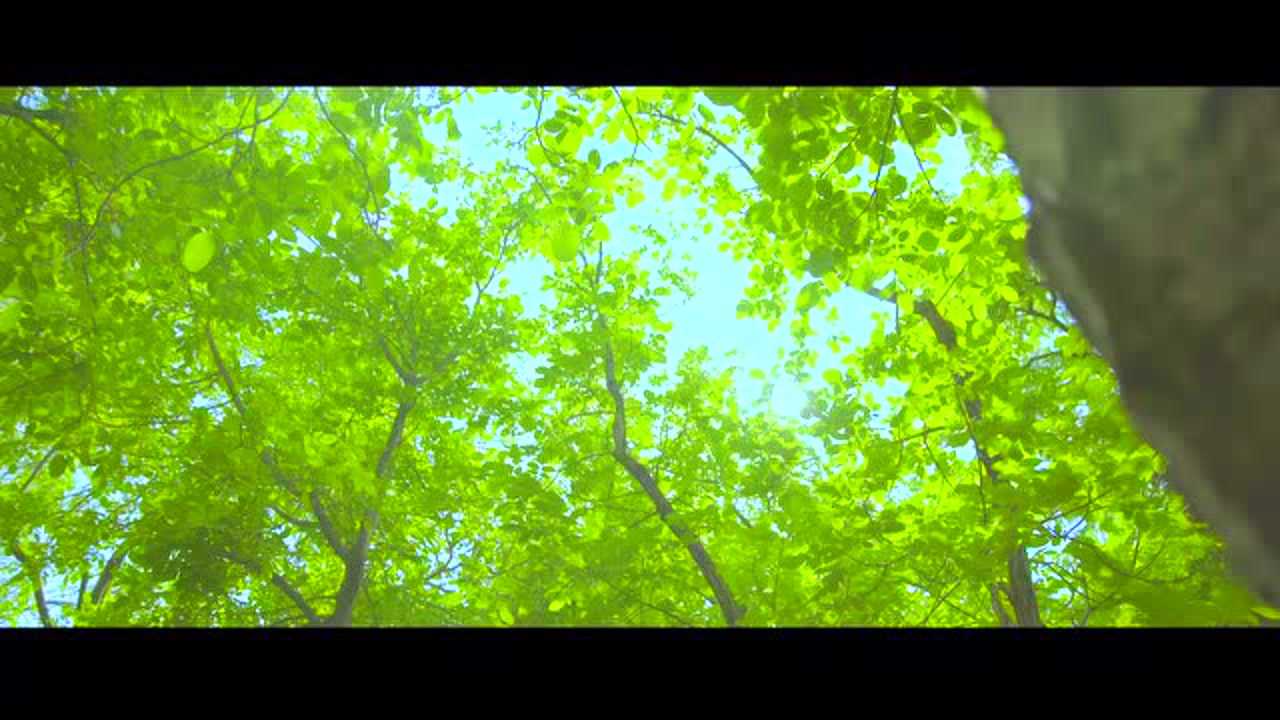 小情书 7集