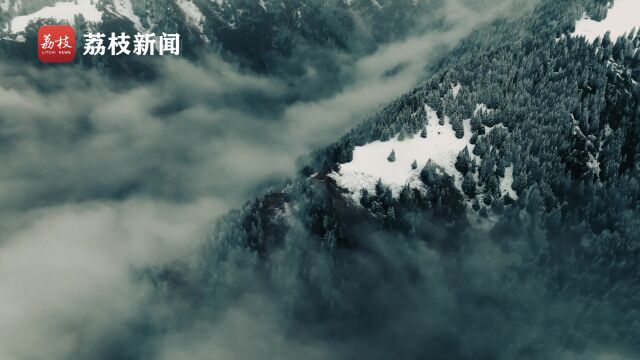 风雪大片!喀拉峻草原秋雪纷飞 牧民风雪中伴着牛羊觅食