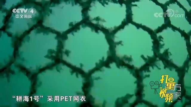 “耕海一号”采用PET网衣,网眼形似龟壳也被称为龟甲网