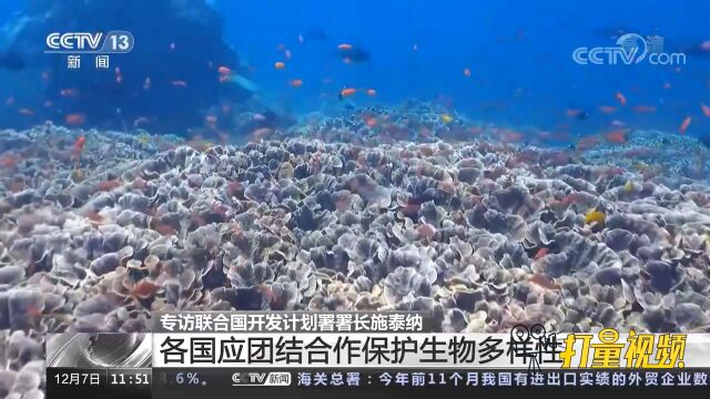 联合国开发计划署署长施泰纳:各国应团结合作保护生物多样性