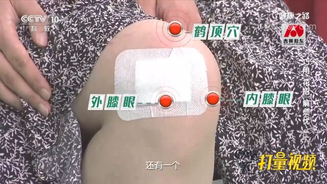 治疗、预防老寒腿,凤仙花姜粉贴应该贴在哪里?来看下