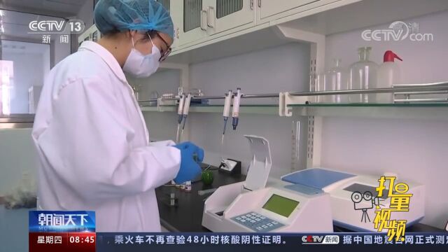 四部门出台《意见》,加快构建多类型农林人才培养体系