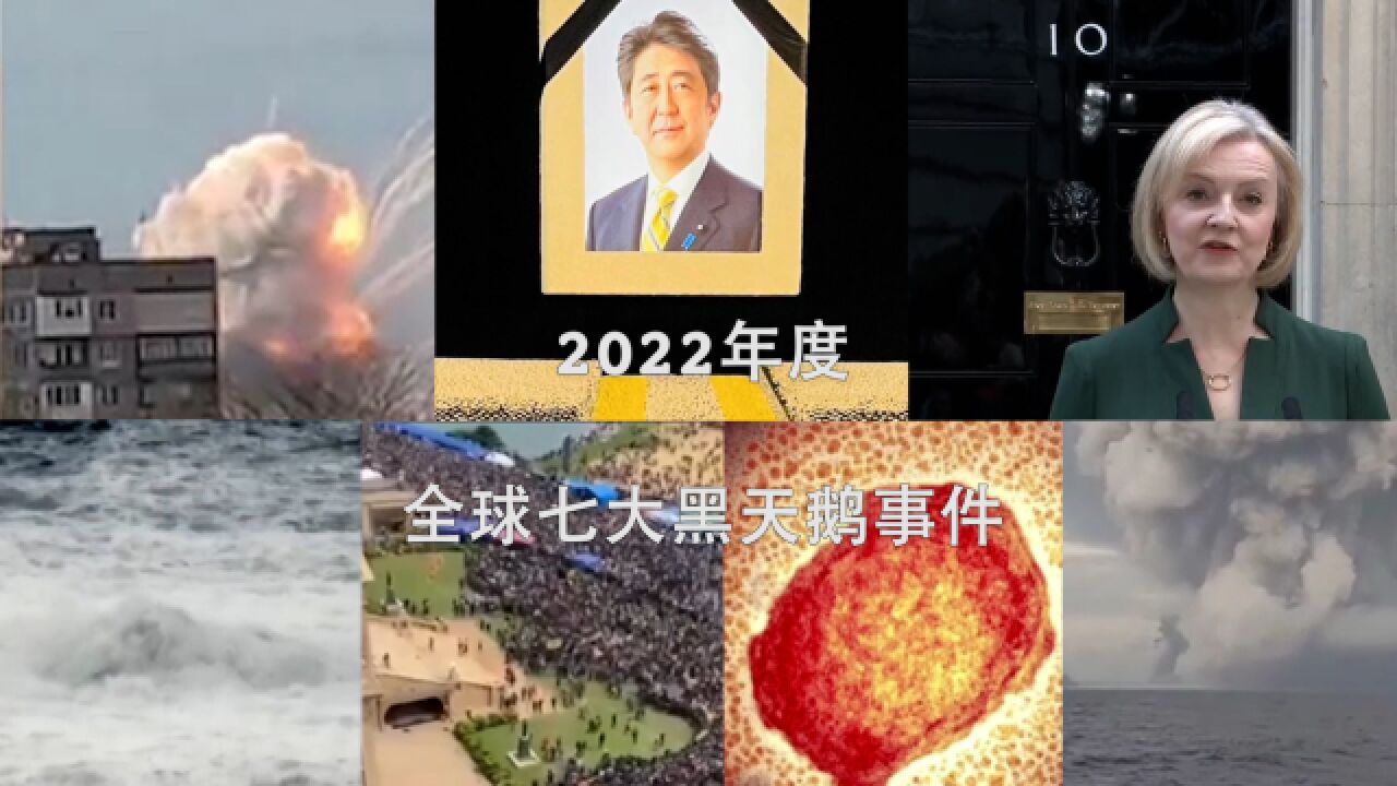 这些国际大事件你还记得几个？180秒回顾2022年全球七大“黑天鹅”事件_高清