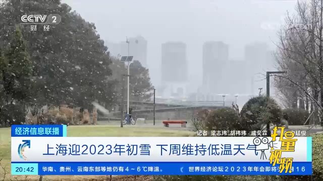 上海迎2023年初雪,下周维持低温天气