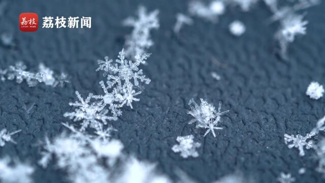 原来雪花真的是六角形!摄影师微距拍摄雪花美好梦幻