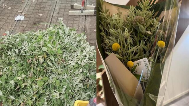 端午艾草卖出玫瑰价:菜场1把卖2元,跻身花店每束超百元