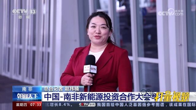 中国南非新能源投资合作大会举行