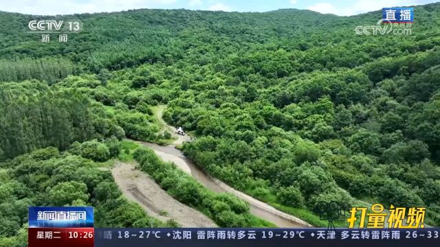 关注!人工巡护队深入林区,搜集野生动物样本,提供科研依据