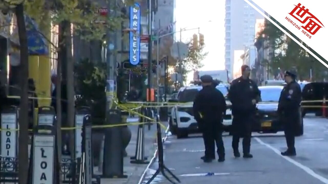 美国联合健康保险CEO布莱恩·汤普森在纽约被枪杀-腾讯新闻