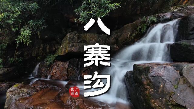 钦州八寨沟:十万大山腹地中的秘境