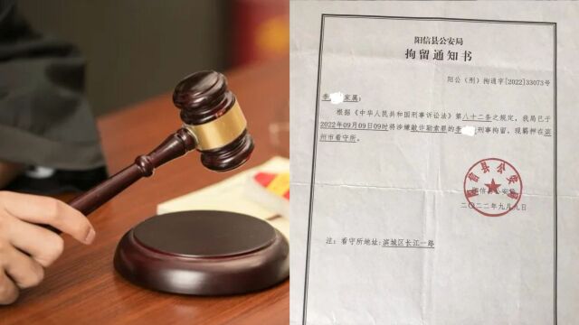 山东女子上访遭信访局长辱骂,“获赔”2万后被判“敲诈”提上诉