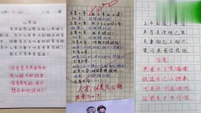 二年级小学生作文,是个苗子,校长你看能不能重点培养一下