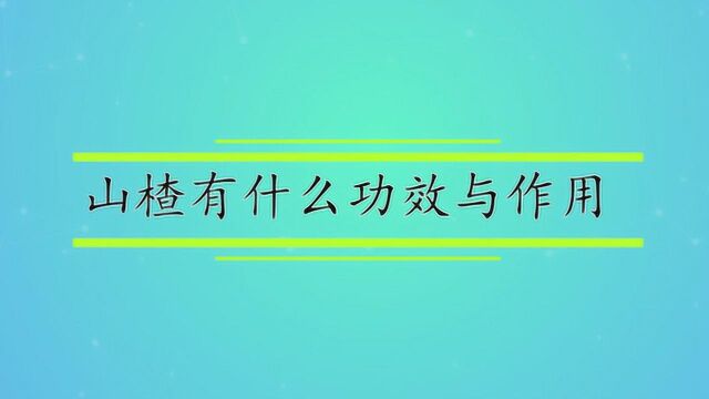 山楂有什么功效与作用