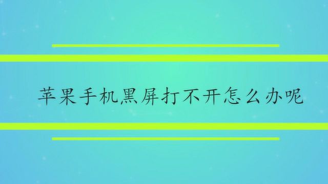 苹果手机黑屏打不开怎么办呢