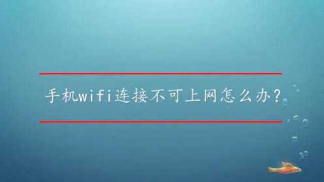 手机wifi连接不可上网怎么办?