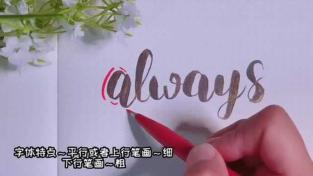 宠粉时间,小伙伴想看的手帐brush字体教程,花式字体学起来