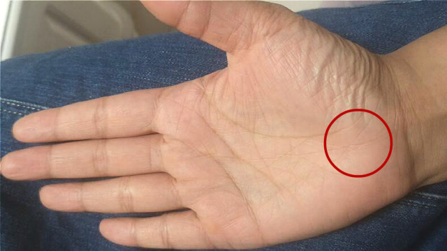 手相揭密:女人健康线是看左手还是右手,不同的健康线代表什么?