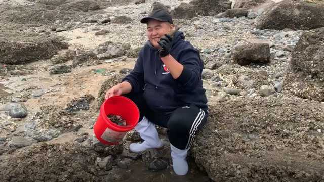 大胖赶海养成好习惯,随手捡垃圾下面有宝贝,虎皮虾一斤能卖四百