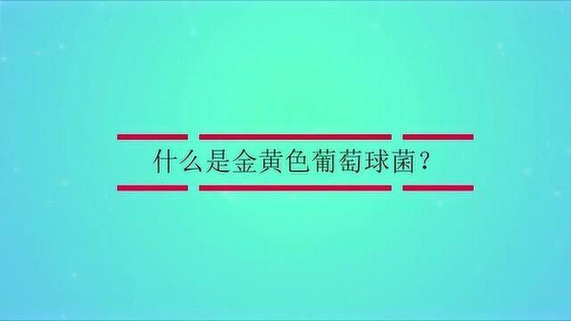 什么是金黄色葡萄球菌?