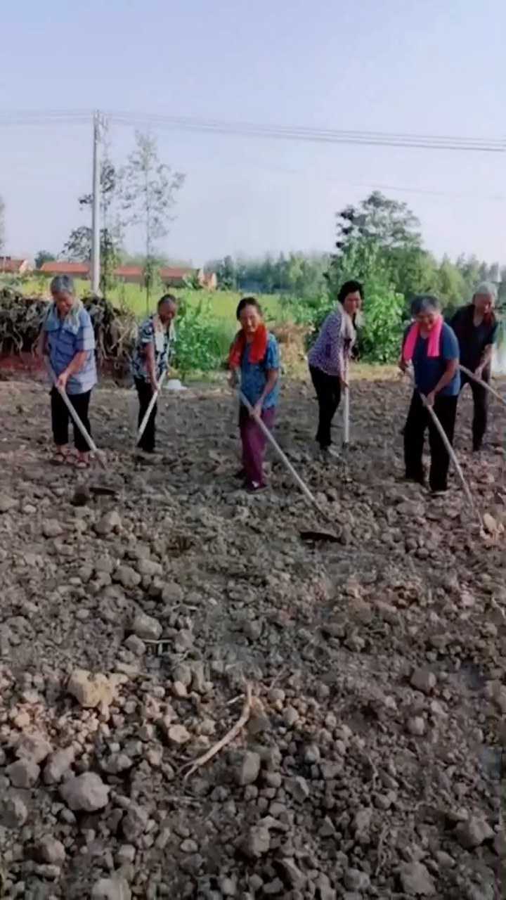农民们在锄地_腾讯视频