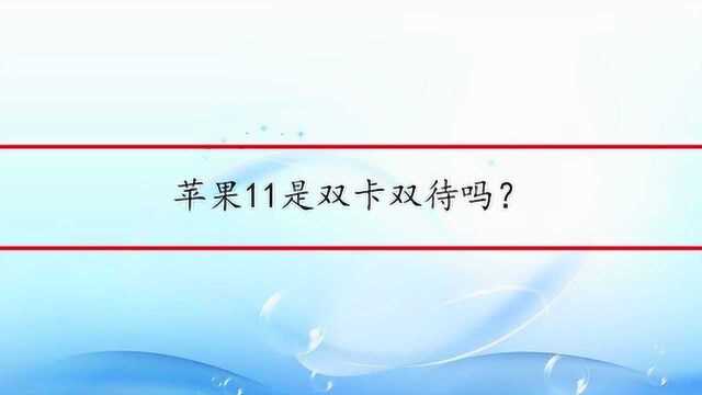 苹果11是双卡双待吗?