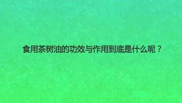 食用茶树油的功效与作用到底是什么呢?