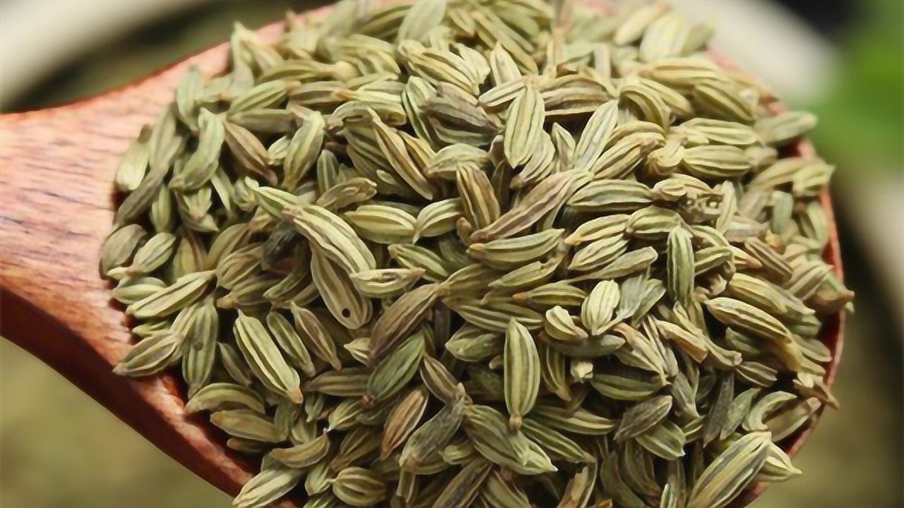 不起眼的小茴香竟还有这么多妙用还不明白太可惜