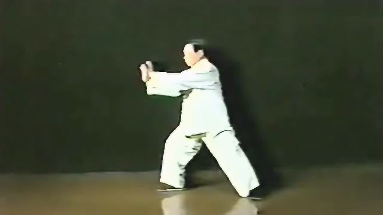 冯志强:混元太极拳精炼48式教学(完整版)_腾讯视频