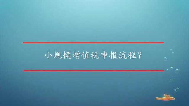 小规模增值税申报流程?