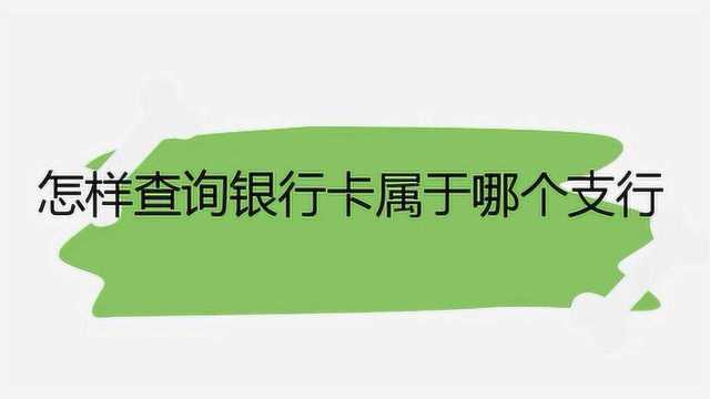 怎么查银行卡是哪个支行的?