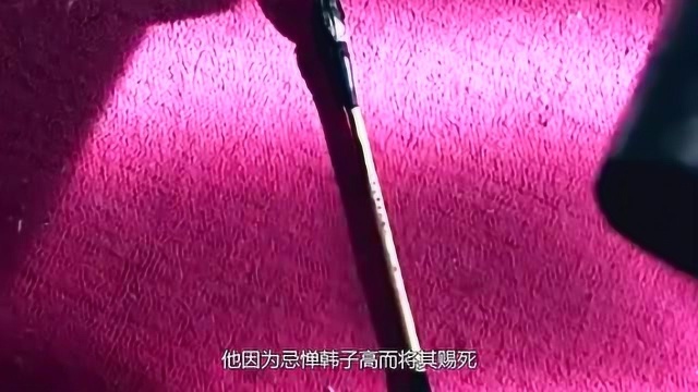 韩子高:战功卓著的将军,中国第一位男皇后