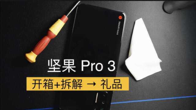 拆个“锤子”坚果Pro3拆解