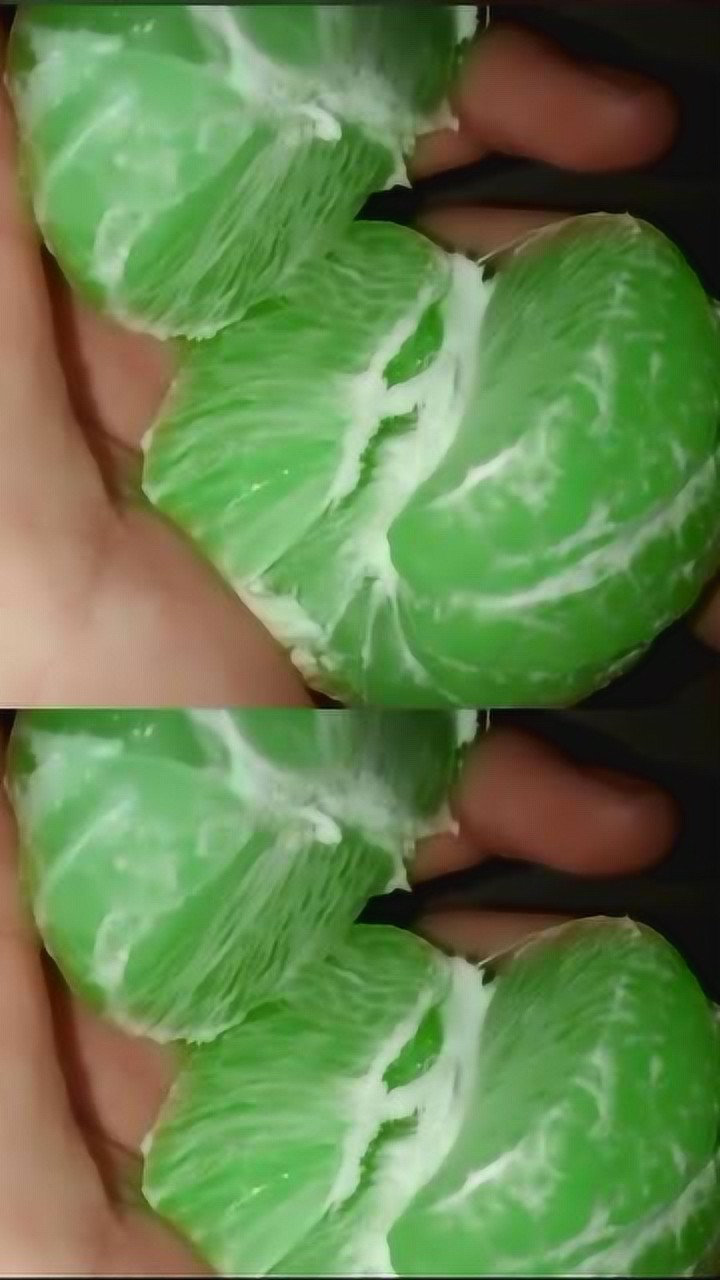 颜值和口感在线的绿色橘子,这个橘子是怎么产出来的?变异了?