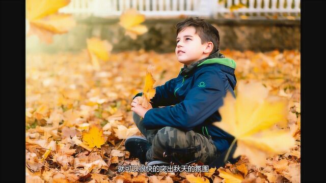 秋季怎么拍?前景构图,掌握想不出大片都难