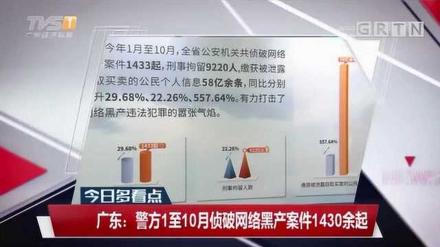 广东:警方1至10月侦破网络黑产案件1430余起