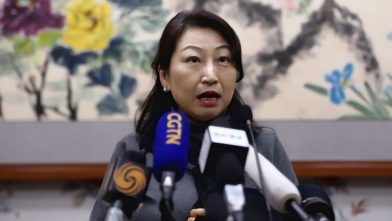 香港律政司司长郑若骅遭围攻受伤后首次露面 手绑绷带