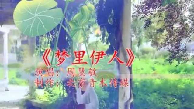 好歌推荐!《梦里伊人》歌曲旋律动听优美,甜美清澈的嗓音