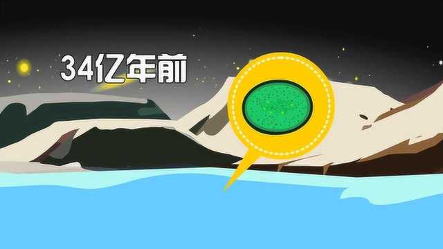 同学们,你们知道在地球上被称为生命开拓者的生物是什么吗?