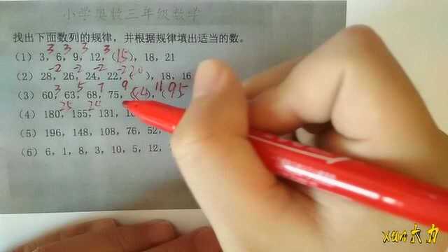 小学奥数三年级数学找规律,6道题都做对的小朋友应该是学霸