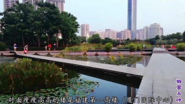 实拍:厦门海湾公园,离大海最近的公园,风景特别美