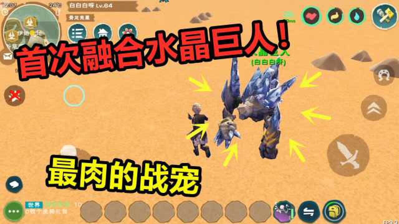 创造与魔法融合最肉战宠水晶巨人这才是最难六阶的宠物