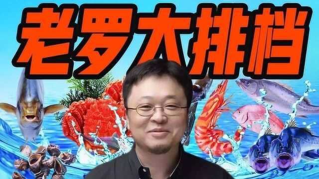 “老人与海”变老罗与地中海,罗永浩秃然发布仿生鲨鱼皮