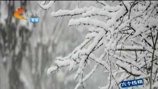 鹅毛大雪!河北多地迎今冬最大一场降雪,白茫茫一片