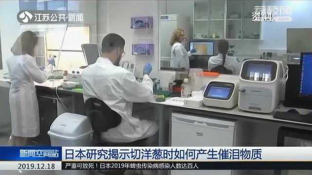 日本最新研究:切洋葱时是这样产生催泪物质的!切洋葱技术有望改进