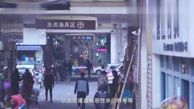 本人开渔具店的经历,一起看看吧