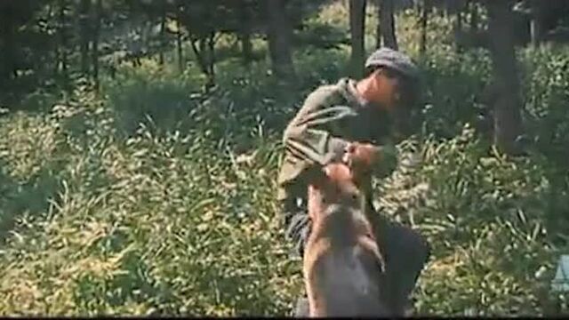 经典老电影《狼犬历险记》!张蚂蚱看警察带着狼犬抓人!太厉害!