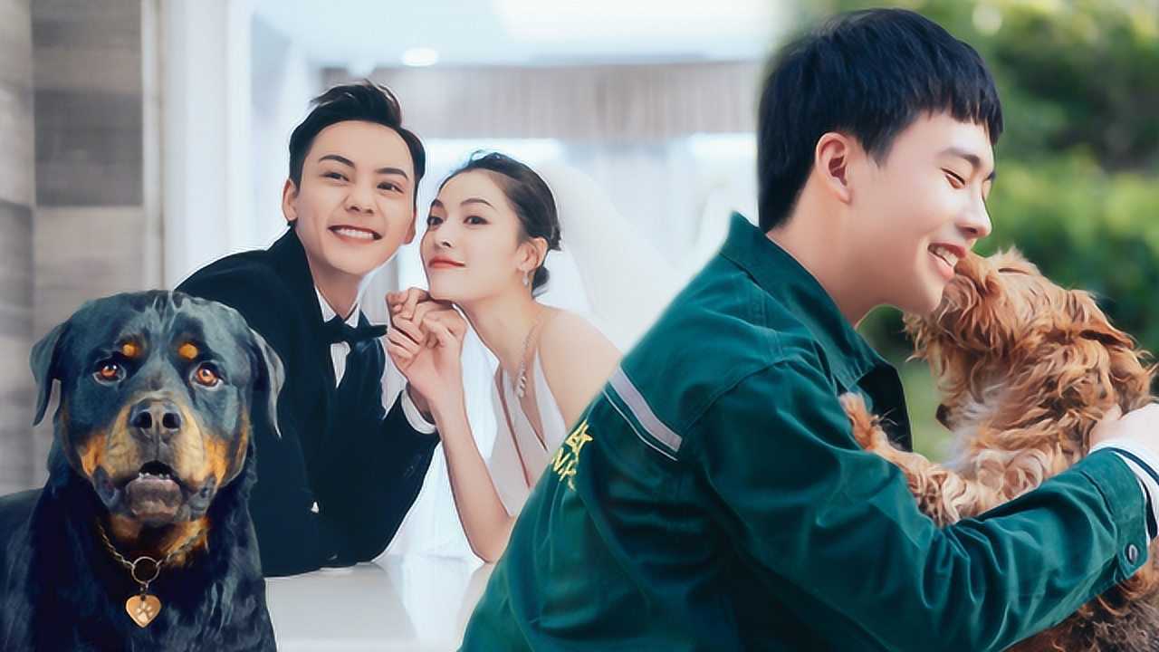 《宠爱》戳泪好哭,陈伟霆钟楚曦为ta流泪,郭麒麟不再孤单一人